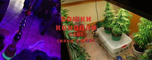 трава Корсаков