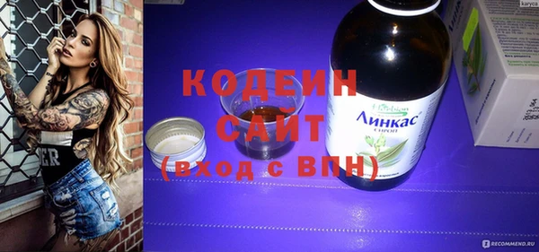 трава Корсаков